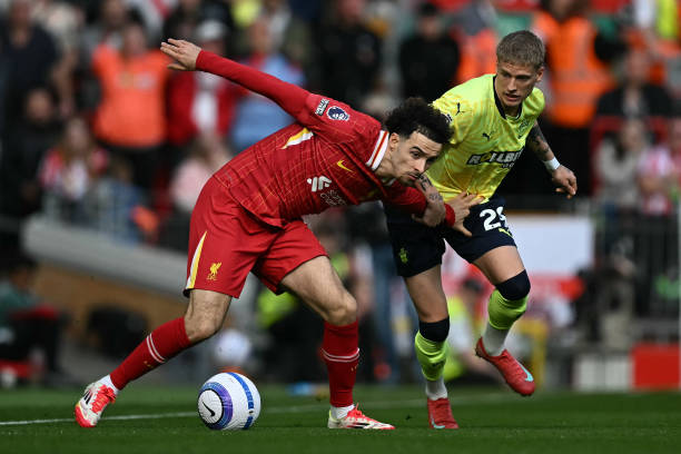 了胜利的基 了胜利的基